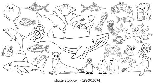 Big set vector cartoon outline isolated sea ocean north animals  Doodle whale  dolphin  shark  stingray  jellyfish  fish  crab  king Penguin chick  octopus  fur seal  polar bear cub for coloring book