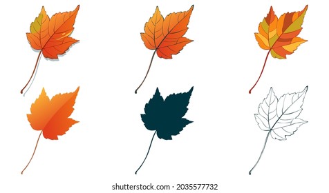 Big set of vector fall tree leaf shapes drawing in different styles: hand-drawn sketch, silhouette, flat, cartoon are isolated on white background. Autumn maple leaves coloring sheet.