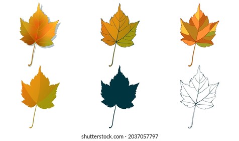 Big set of vector fall tree leaf shapes drawing in different styles: hand-drawn sketch, silhouette, flat, cartoon are isolated on white background. Autumn maple leaves coloring sheet.