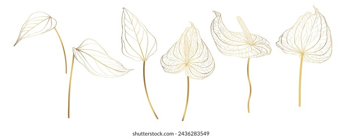 Gran conjunto de hojas de antruro dibujadas a mano de línea dorada vectorial (también conocida como flor de tallo, flor flamenca) sobre fondo blanco.