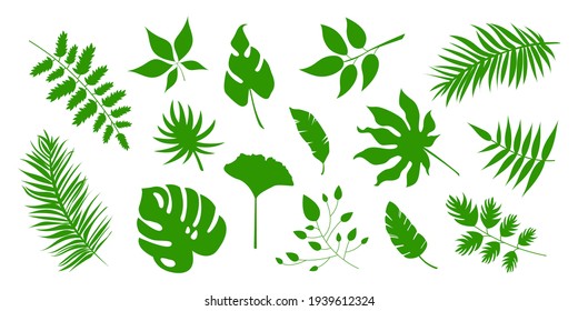 Big set of vector green leaves, herbal element. Collection of simple and tropical leaves. Can be used as isolated sign, symbol and icon. Collection of spring botanical vector flat plant illustration