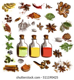 Big set of vector hand drawn spices for design