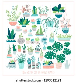 Big set of vector home plants in pots. Illustrations in free hand-drawn style. The isolated images in pastel tones on a white background. Compositions from cactus, succulents, palm, monstera, grass