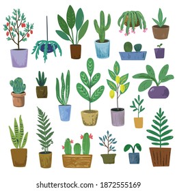 Gran conjunto de plantas vectoriales aisladas en fondo blanco. Jardín en la casa.