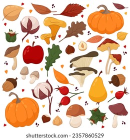 
Big set of vector illustrations of autumn decorative elements. Mushrooms, leaves, pumpkins in flat style.