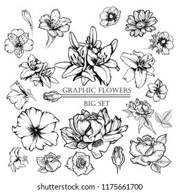 Big set of vector ink flowers illustration: lily, poppy, peony, rose, petunia, chamomie, alstroemeria