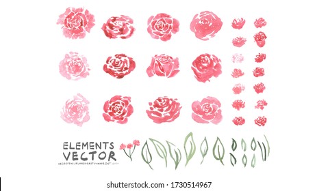 Gran conjunto de flor de acuarela pintada vectorial y elementos de hojas. Rosa rosa y hoja verde sobre fondo blanco.