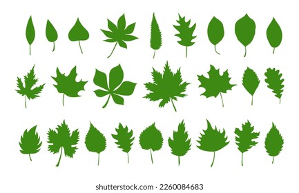 Big set of vector spring leaves, herbal element. Collection of simple green leaves. Can be used as isolated sign, symbol and icon. Collection of spring botanical vector flat plant illustration