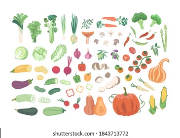 Big set of vector vegetables. Fresh salad, tomatoes, peppers, pumpkin, mushrooms, zucchini, corn, carrots, peas, cabbage, broccoli, potatoes, eggplant, asparagus, radishes, onions, garlic, olives.