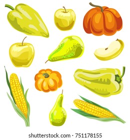 Big set of vector vegetables and fruits. Illustration of autumn harvest, healthy food icons isolated on white.
