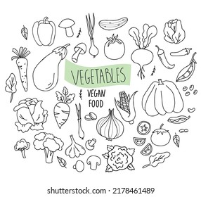 Big Set of vector vegetables, root vegetables and vegetable food in linear hand drawn doodle style. Mushrooms and cabbage, garlic and carrots, peas and chili peppers. Isolated elements for design