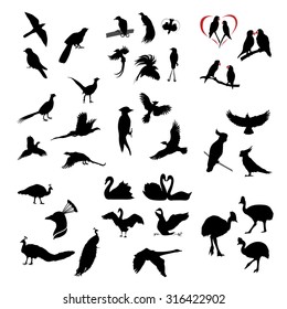 The big set of vector wild birds silhouettes and icons. Illustations of flying birds.