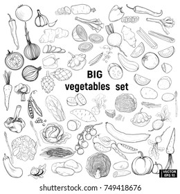 Big set vegetables, doodle.