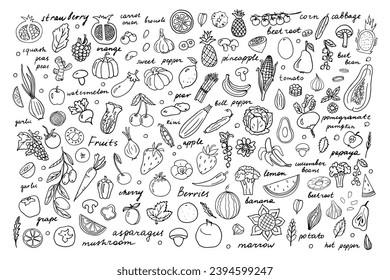 Big set of vegetables, fruits, berries, nuts and lettering. Mushrooms, carrots, pumpkin, pepper, cucumber, tomato and other healthy food. Pineapple, strawberry, apple, pear, watermelon. Hand drawn