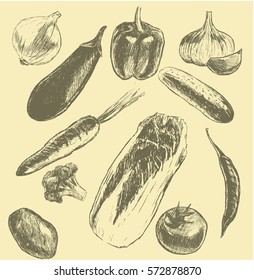 Big Set of vegetables hand drawn illustrations, in sketch, engraving style. Detailed isolated elements on white background, perfect for menu, book design. Vintage retro food images.