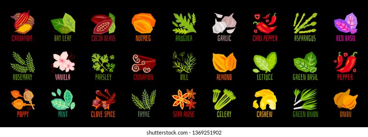 Big set of vegetables nuts herbs spice condiment icons isolated on black background. Colorful leaves lettering. Concept graphic vector element.