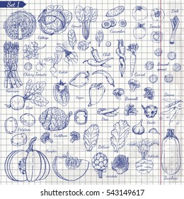 Big set of vegetables in sketch style. Vector illustration for your design