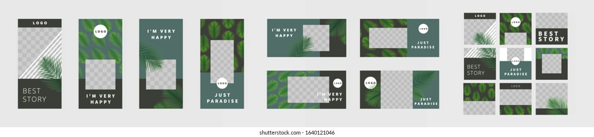 Big set of vertical, horizontal and square templates for design of social networks, story and print with windows for images. Green tropic fan leaf on dark green and black background. Beautiful palm.