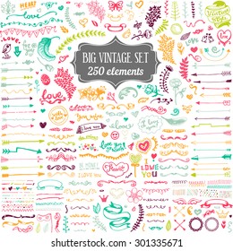 Big set of vintage elements. Vector decoration collection. Hand drawn flowers and leaves, arrows and page decor.