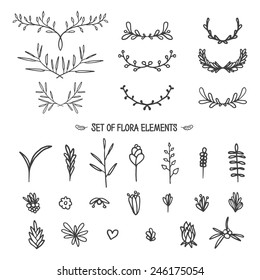 Big set of vintage floral elements. Doodle style. Vector.