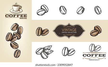 Big set of vintage hand drawn coffee beans isolated on white background. Vegetarian, organic food. Vector Illustration. 