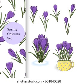 Big set of violet crocuses including isolated flowers, spring bouquets and floral bright pattern.
