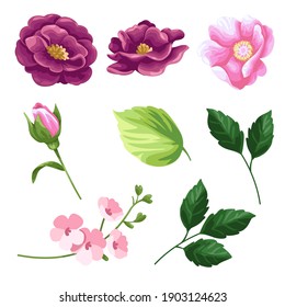 Big Set watercolor elements - rose, tulip; leaves. collection of vector elements. illustration isolated on white background. Botanic.
