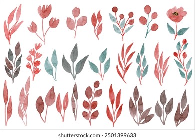 Big Set watercolor elements. Wedding concept, Flower and green leaves, leaf, dry plants, floral leaves, green branches collection, wedding, invitations, prints, poster