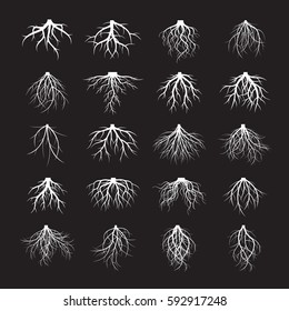 Big set of white Roots. Vector Illustration