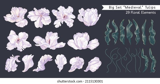 Big set of white tulips. Spring realistic flowers. Vector clip-art elements high detailed isolated on dark background. Easy to edit and customize for your design, patterns, cards banners posters.