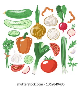 Big set of whole, cut and slices vegetables tomato cucumber bell pepper onion garlic leek parsley radish, textured vector illustration isolated on white background. Set of vegetables - whole and cut