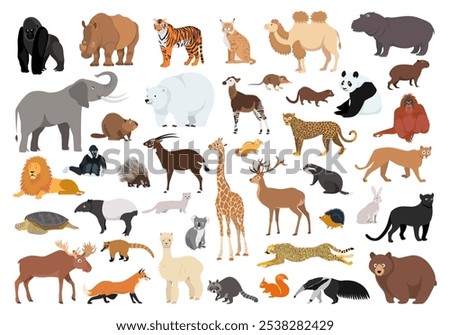 Big set of wild animals. Collection of cute vector characters of animal world in flat style, isolated on white