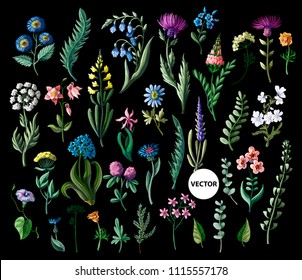 Big set of wild flowers isolated. Vector