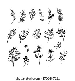 A big set of wildflowers, herbs, leaves. Summer collection. Graphics,doodle. Vector illustration on an isolated white background.For decorating banner, spring holidays.Print, poster, card,packing