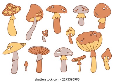 Big set wirh different inedible mushrooms. Vector illustration.