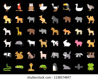 Big set of zoo, safari, arctic, forest animal and bird such as tiger, seal, camel, sloth, kangaroo, frog, pelican, parrot, toucan icon,, flat design