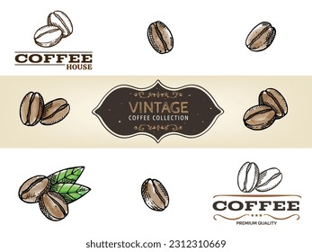 Big set2 of vintage hand drawn coffee beans isolated on white background. Vegetarian, organic food. Vector Illustration. 