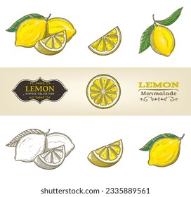 Gran conjunto2 de limones dibujados a mano vintage aislados en fondo blanco. Vegetariano, comida orgánica. Ilustración vectorial. 