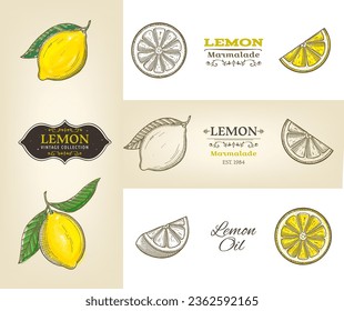 Gran conjunto3 de limones dibujados a mano vintage aislados en fondo blanco. Vegetariano, comida orgánica. Ilustración vectorial. 