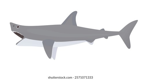 Big shark with open mouth. vector