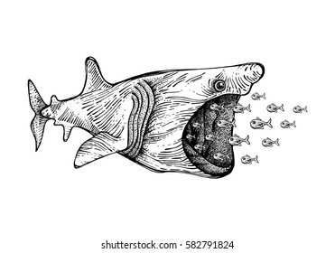 Big shark  swallow small fish. Tattoo totem animal. The linear 
drawing, textile printing, T-shirt, cover. The basis for the logo. Vector illustration, isolated.