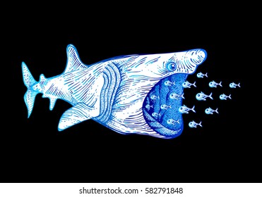 Big shark  swallow small fish. Tattoo totem animal. The linear 
drawing, textile printing, T-shirt, cover. The basis for the logo. Vector illustration, isolated on black background.