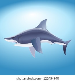 The big shark vector