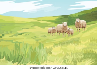 Big sheep family in a middle of green field