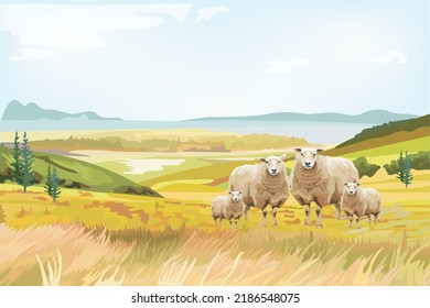 A Big Sheep Family In The Wide Green Grass Scene Behind