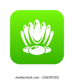 Big shell icon. Simple illustration of big shell vector icon for web