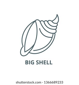 Big shell  line icon, vector. Big shell  outline sign, concept symbol, flat illustration