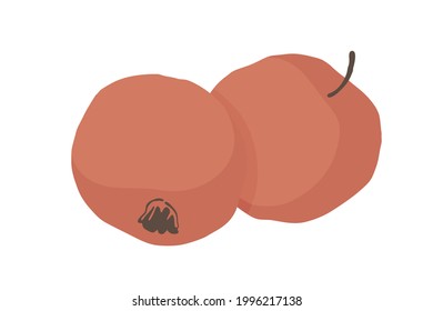 Gran manzana roja brillante. Ilustración de frutas para el menú del mercado agrícola, receta, menú de verano, invitaciones, carteles, pegatinas y diseño estacional. Diseño de alimentos saludables.