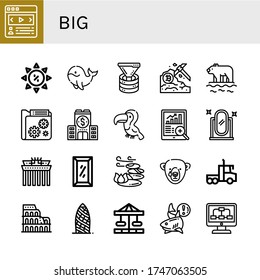 big simple icons set. Contains such icons as Carousel, Summer sale, Whale, Funnel, Data mining, Polar bear, Data, Company, Toucan, Data analytics, can be used for web, mobile and logo