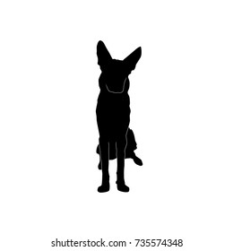 big sitting dog from the front silhouette vector isolated on white background